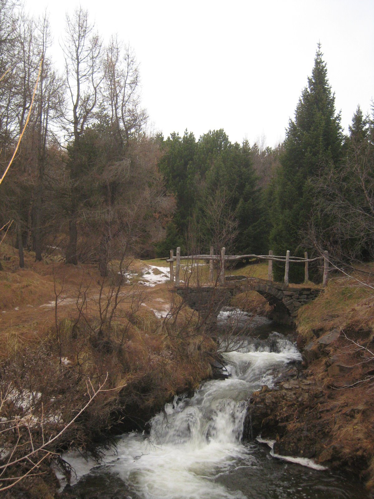 [IMG_7875.JPG]