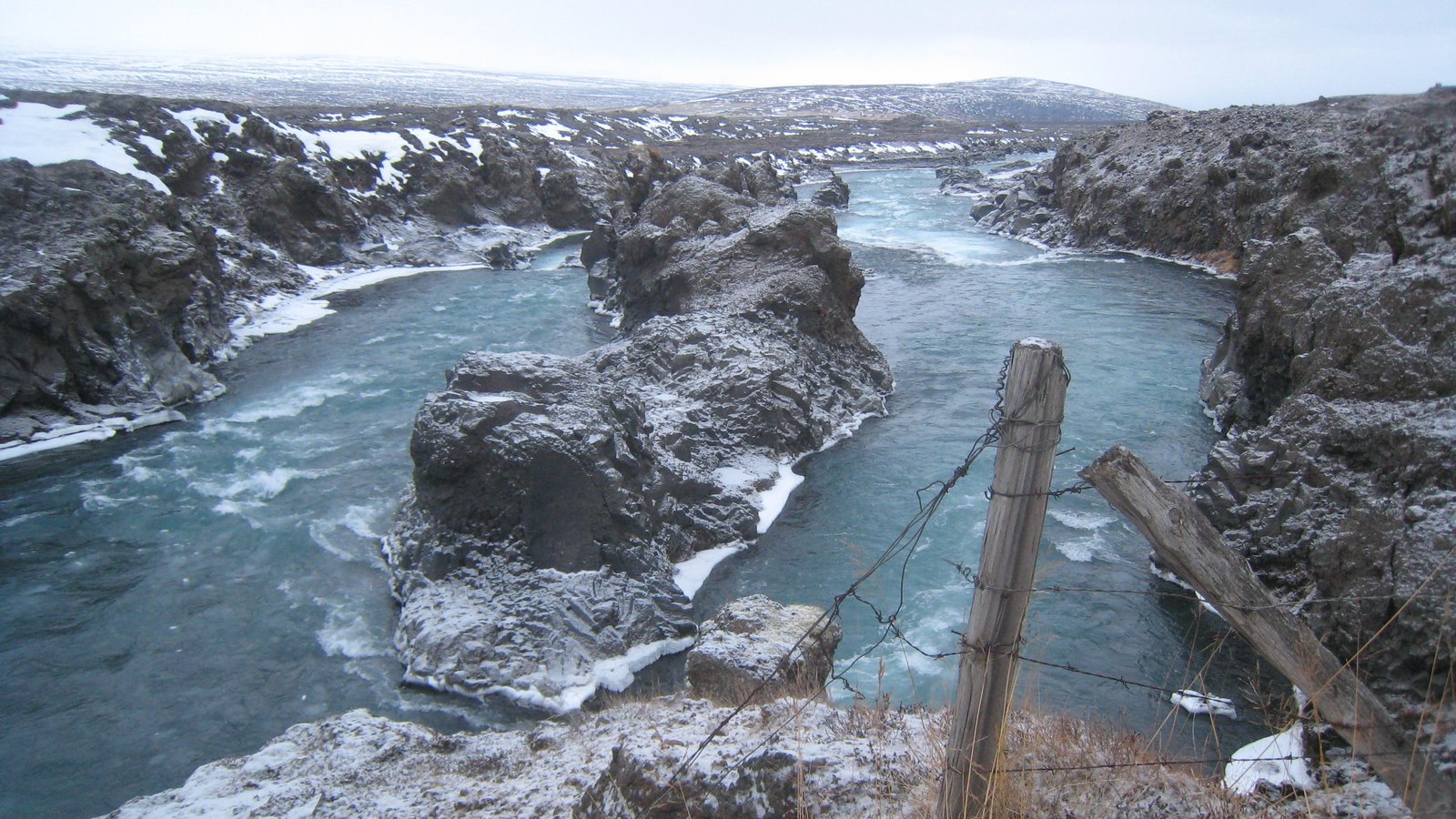 [IMG_7908.JPG]