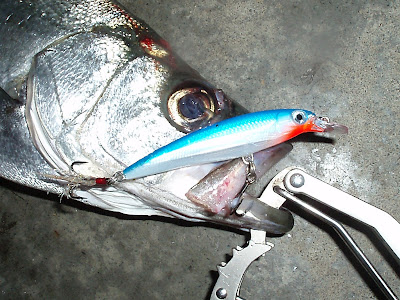 Harvestmoon Harvesttime X Rapの実力 9 16