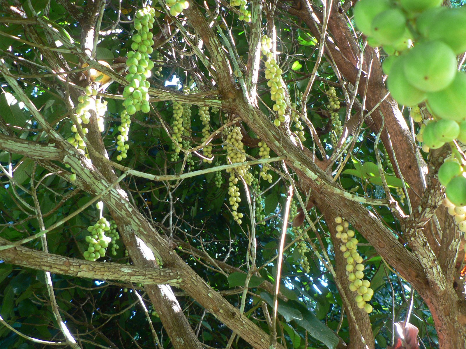 [P1040645.JPG]