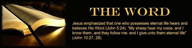 The Word