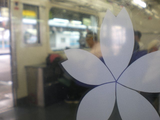 [IMGP1468.JPG]