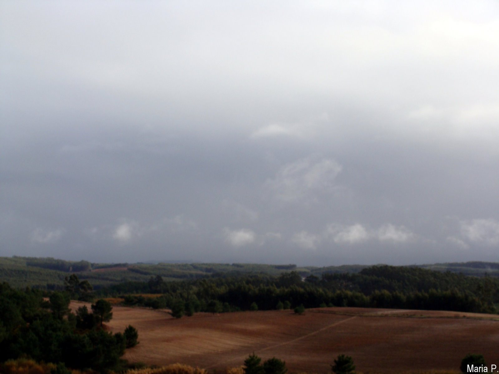 [DSC01848.JPG]