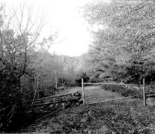 Gate in Meadow