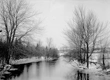 Winter Stream