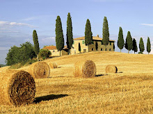 Campos de Toscana