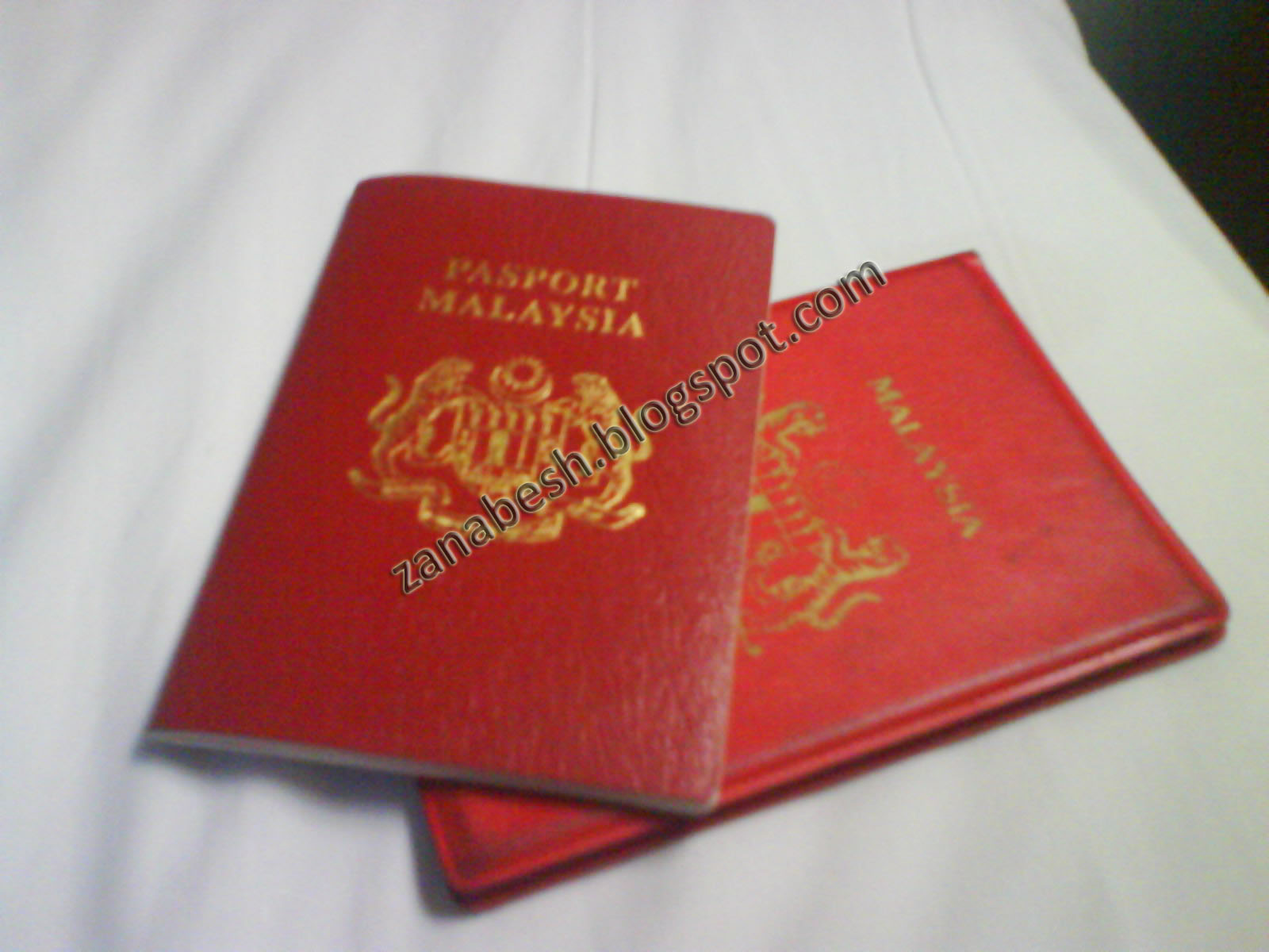 [pasport+blog.jpg]