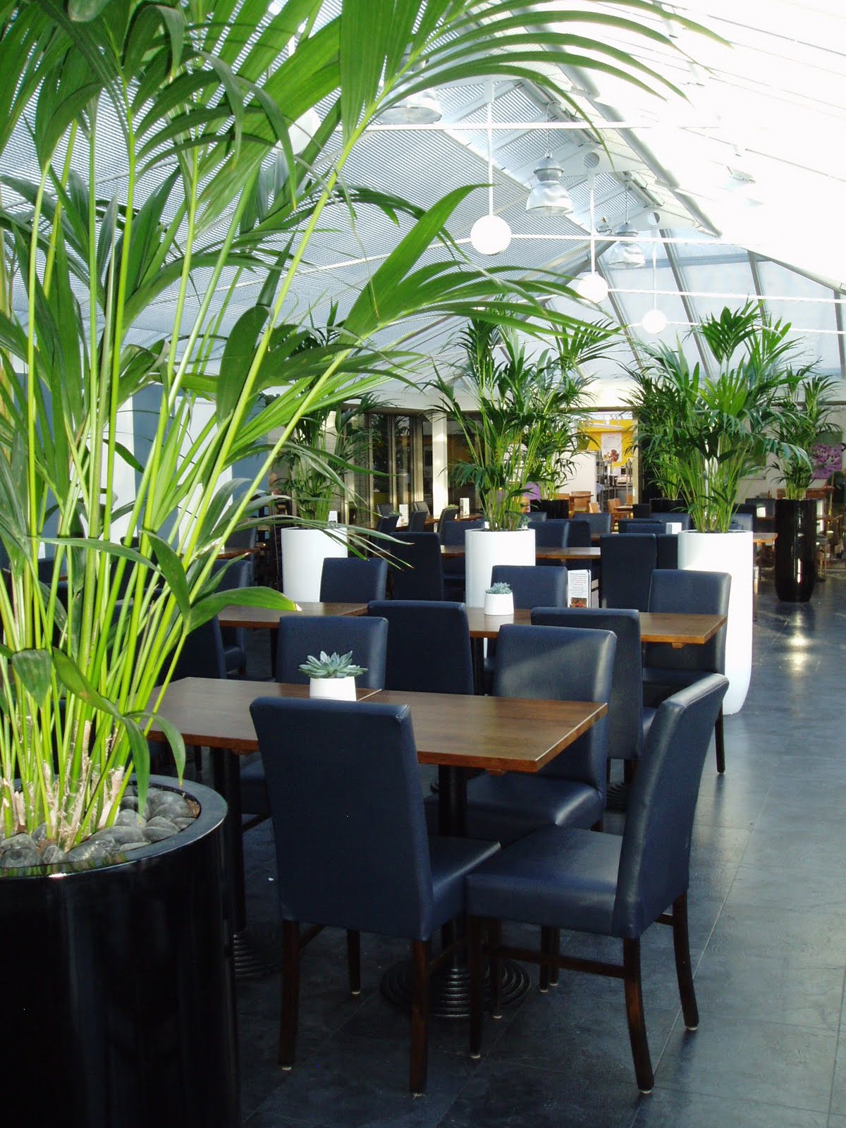 Stewarts Garden Centres Edwards Coffee Shop Now Open
