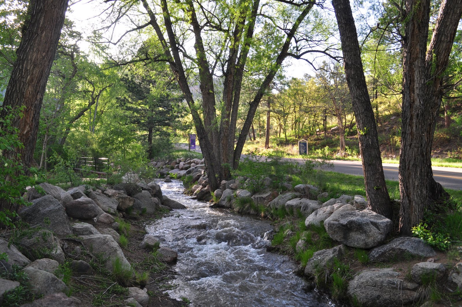 The Traveling Chronicles of A Wanderer Hiking Colorado North