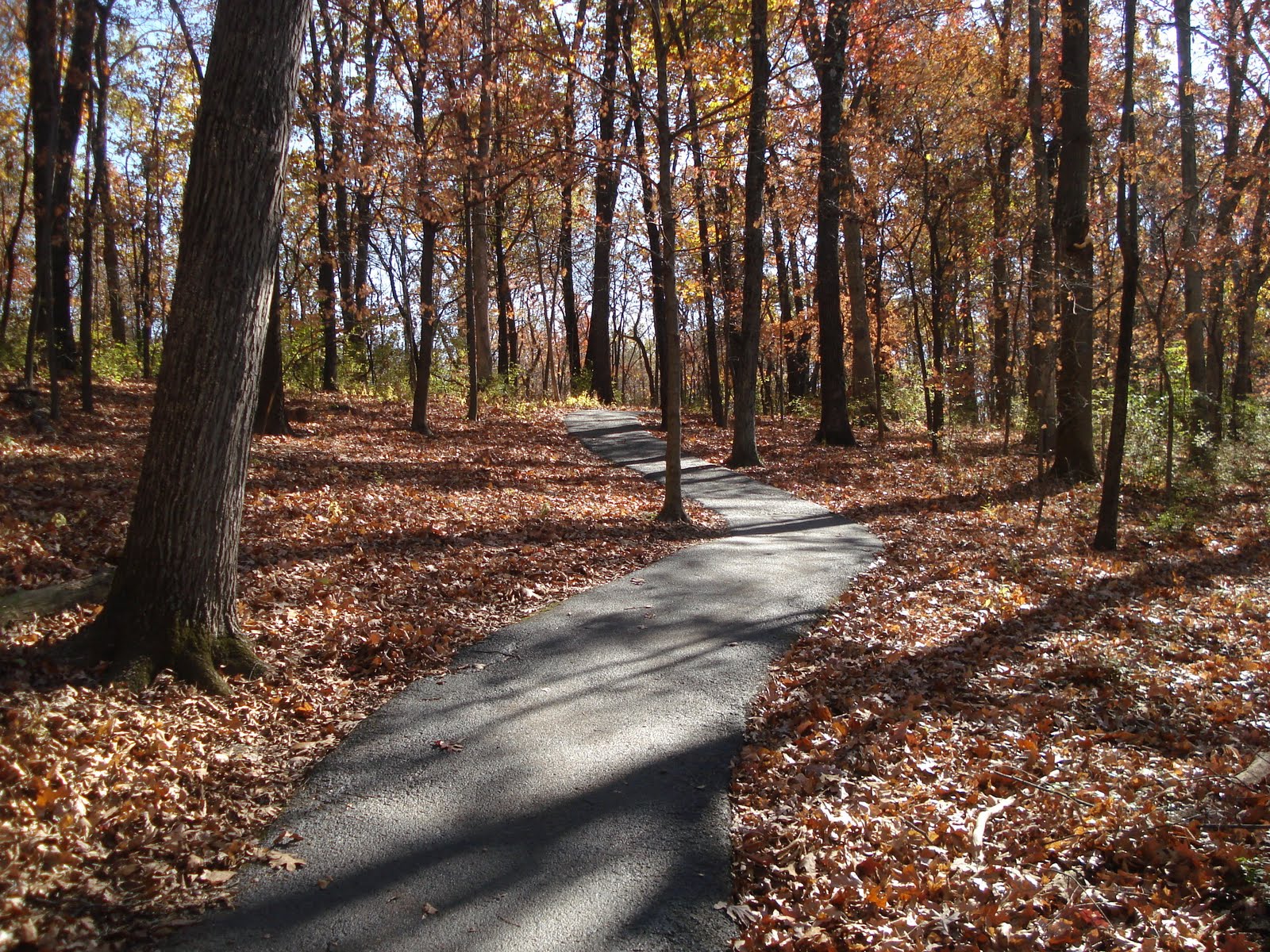 to explore Powder Valley
