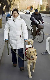 Who moved my cheese? Summary of the changes to the ADA 2