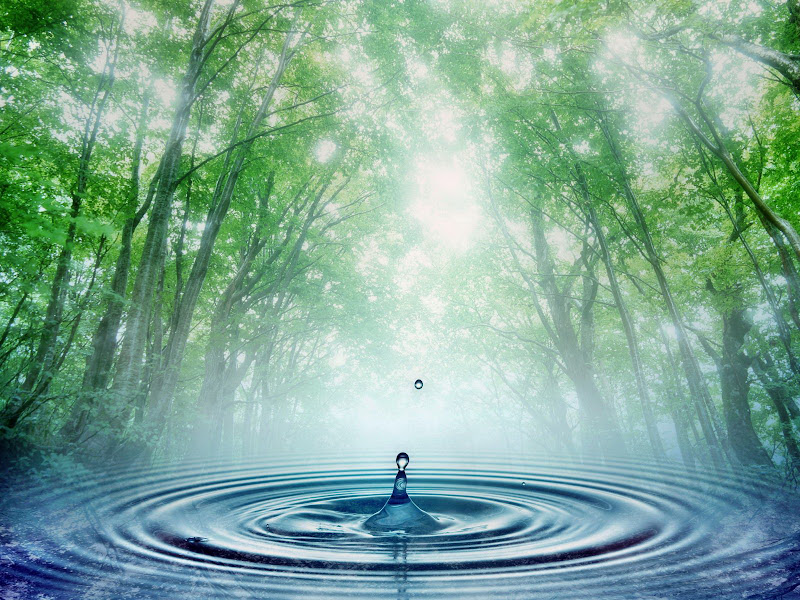 Natural+wallpapers%2Bmobile+wallpapers%2Bpc+wallpapers%2Bwallpapers title=