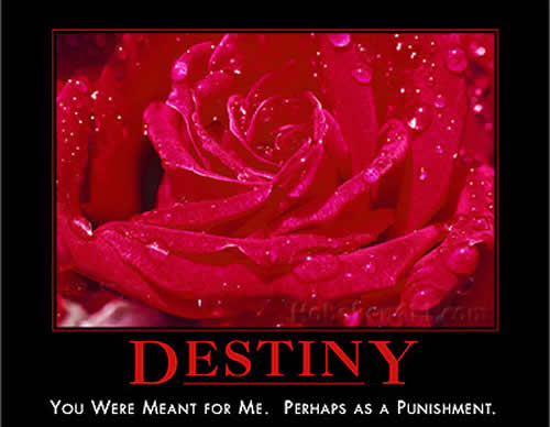 Happy Valentine's Day,Saint Valentine's Day Poems,Ladies Web World,women .