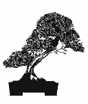 Bonsai Style:Slanting styles