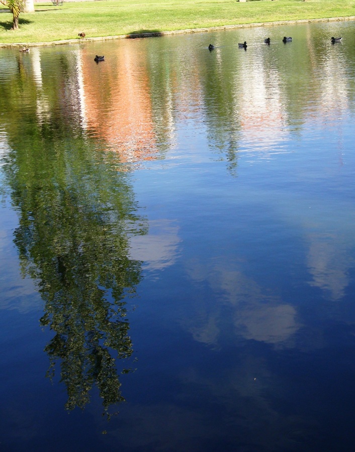 [jardim9-1.JPG]