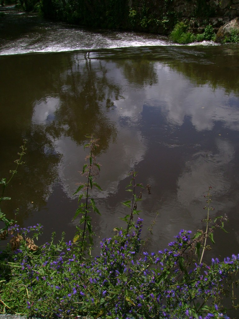 [DSC01031.JPG]