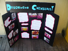 Nikki's Science Fair Board