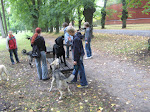 Tähtvere pargis