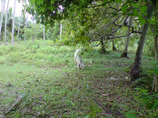 [DSC00207-717151.JPG]