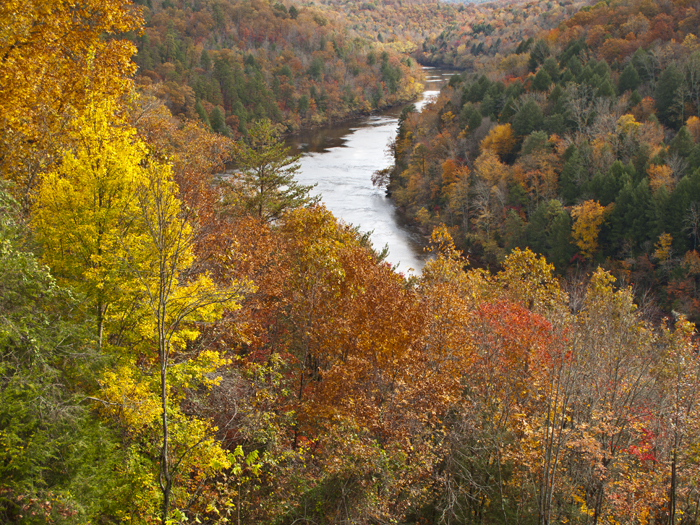 Daniel Boone National Forest