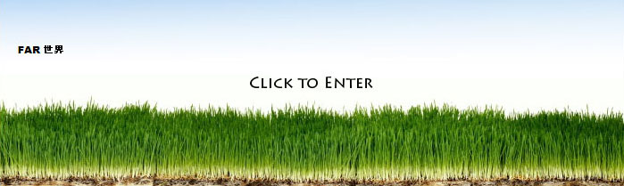 link to my wordpress blog...