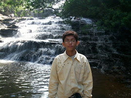 Near Falls