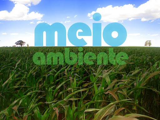 \(",) Técnico em Meio Ambiente (,")/