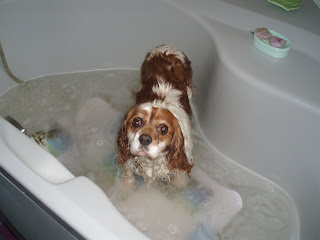 site de rencontre cramont