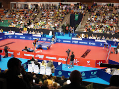 PAVELLÓ: PANORÀMICA GENERAL