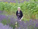Lavender Winds Farm, Whibey Island WA
