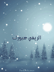 على عينك ياحسد