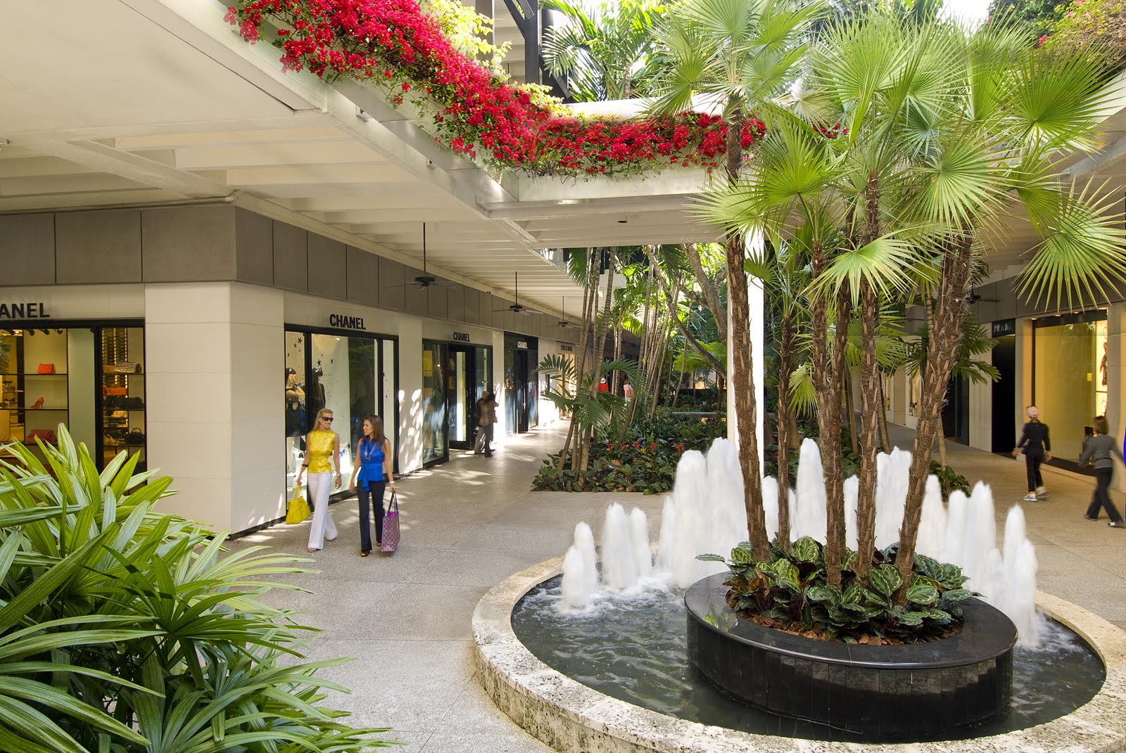 1000 Images About Storefront Flowers Amp Gardens On Pinterest