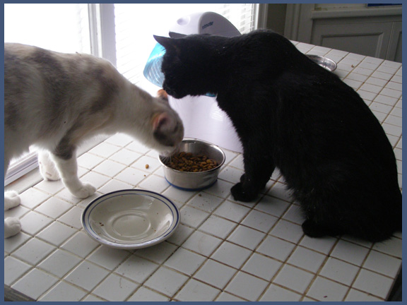 [moocher.jpg]