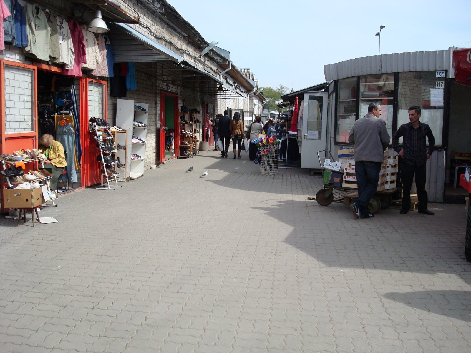 [DSC00187.JPG]