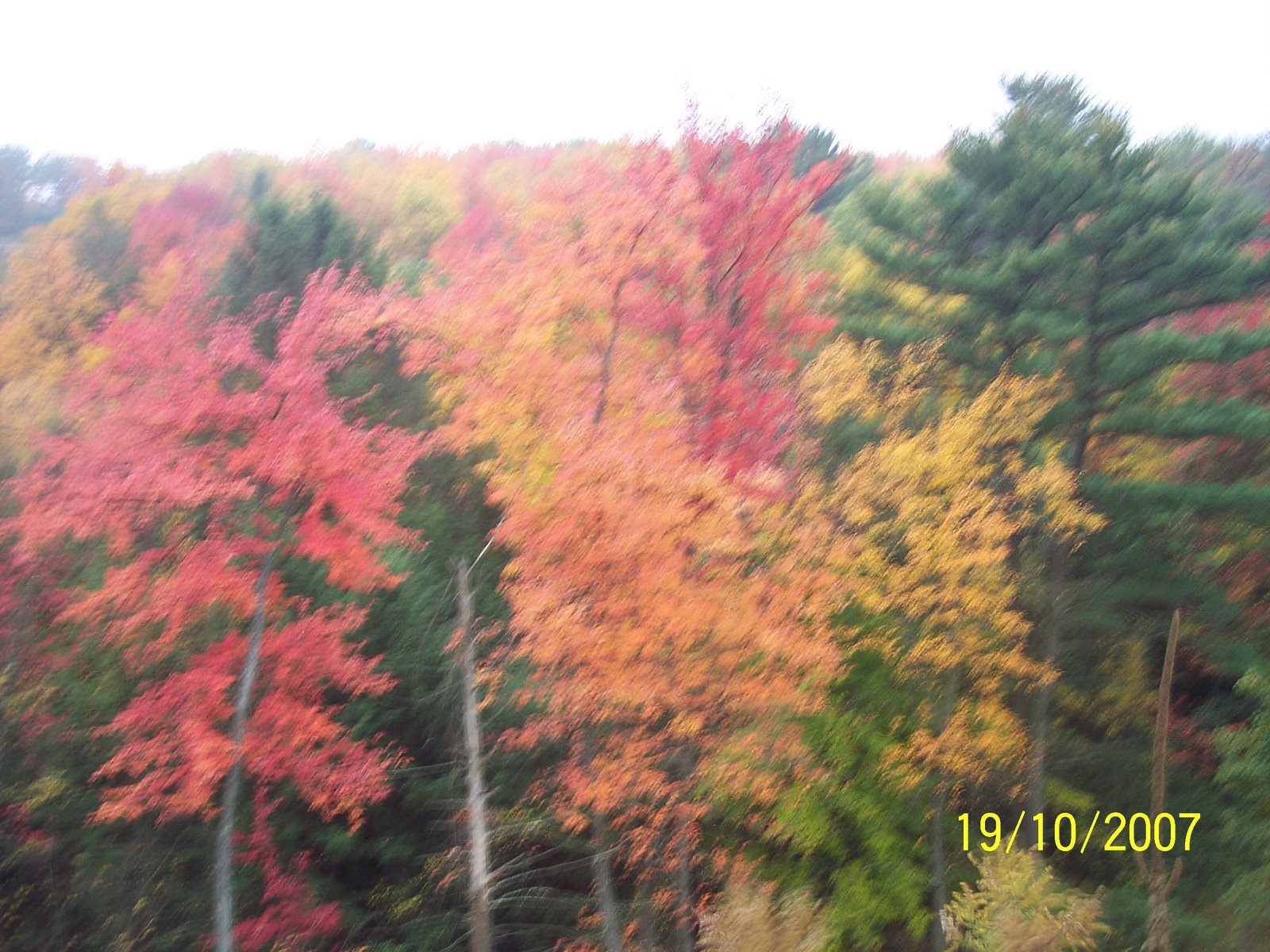 [Fall+Foliage+07+024.jpg]