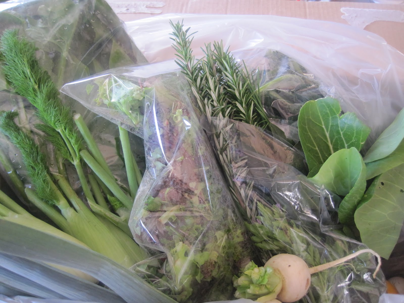 Toast Sunday Kitchen picture