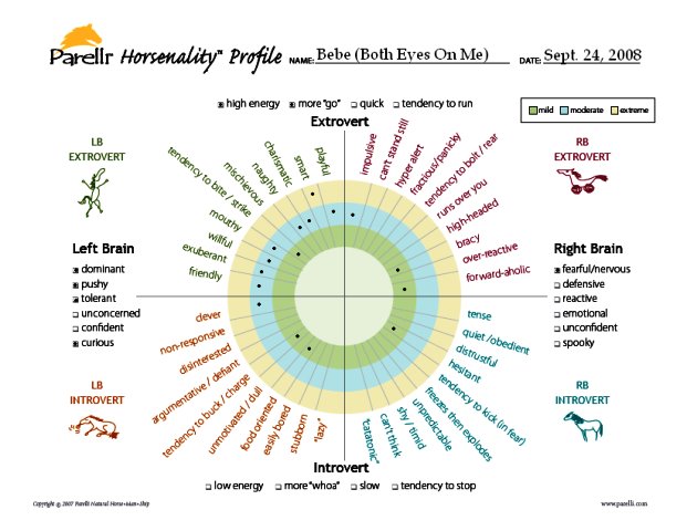 Bebe's Horsenality as of September 2008