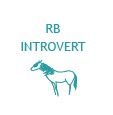 Right Brained Introvert