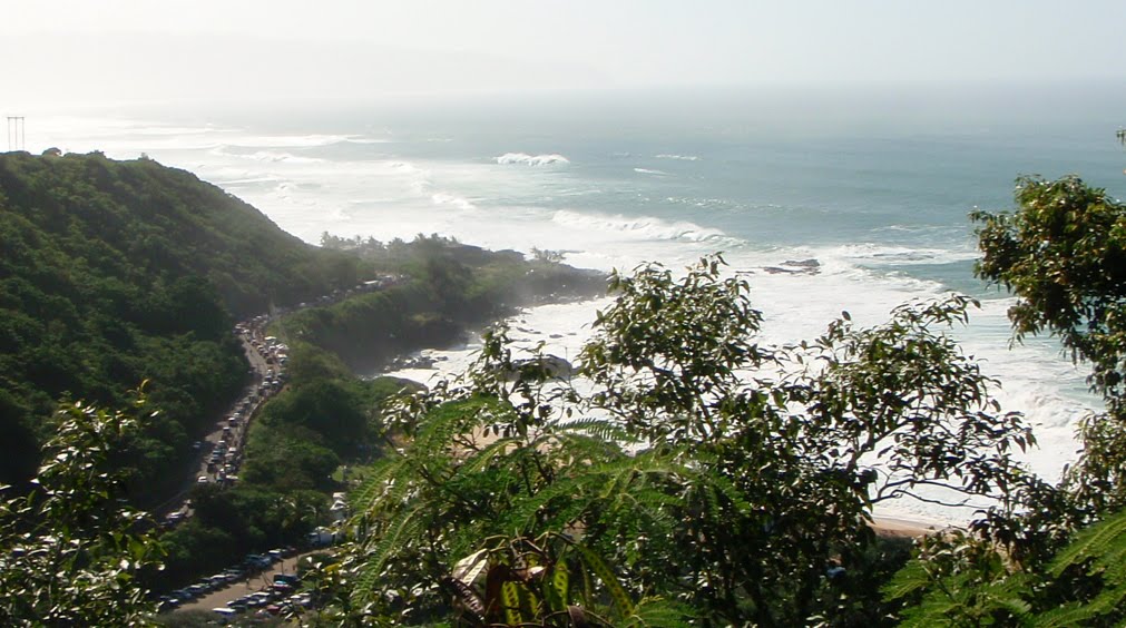 [PC080067_2.JPG]