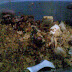 Sarapan, Nasi Goreng, Ngebontot dikantor