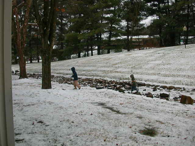 [Jan+17+2008+Clark+and+Cal--their+first+snow+fall+of+the+winter,+Johnson+City,+TN.JPG]