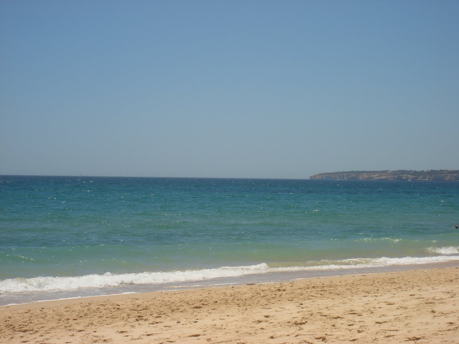 [DSC02499.JPG]