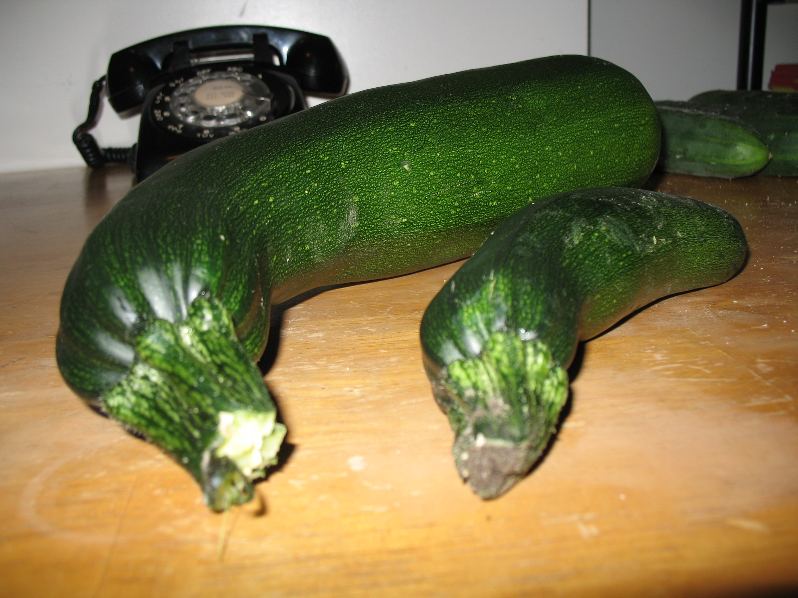 [camera072108+039.jpg]