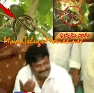 Chiru escapes from Snake Byte