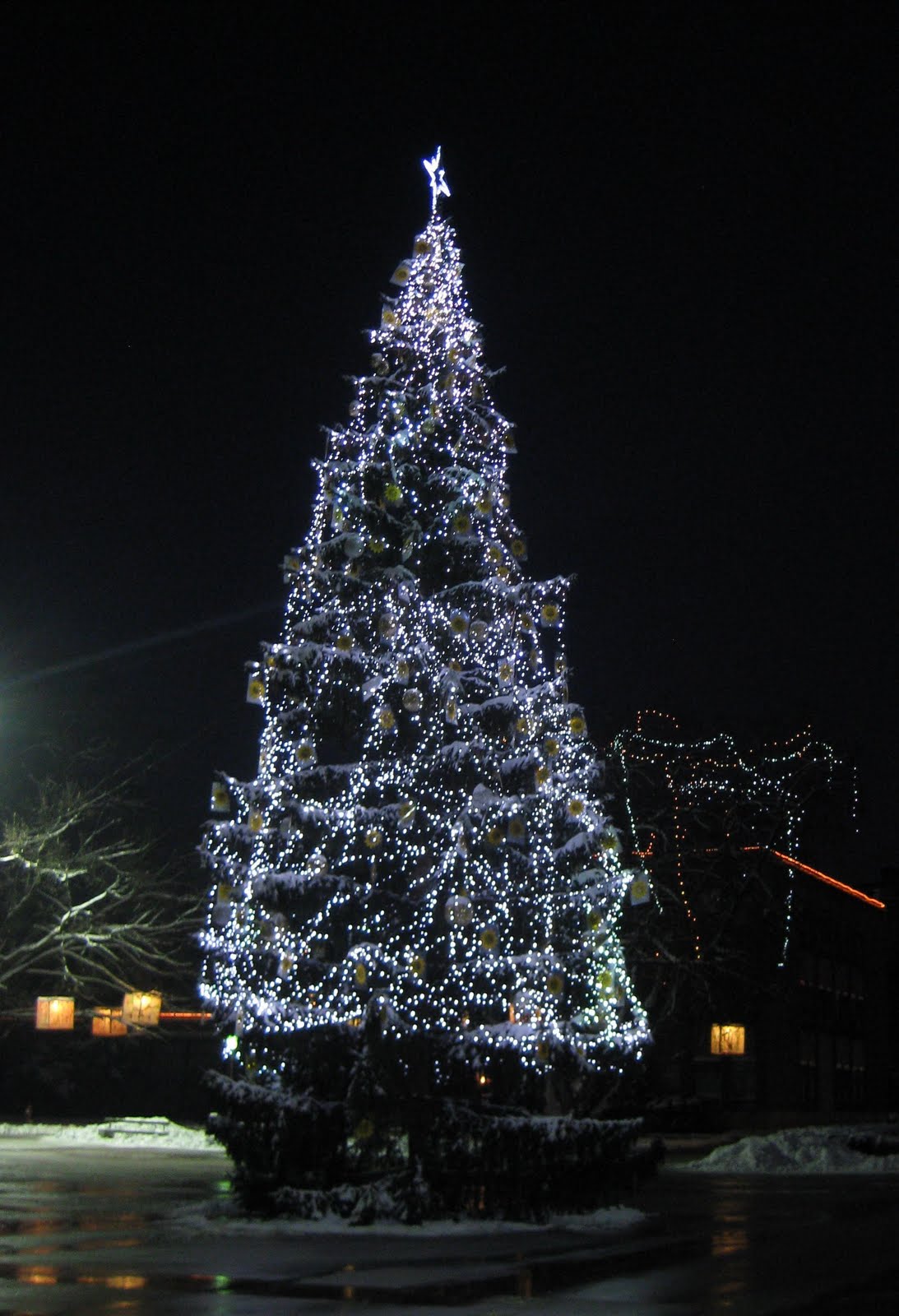 [IMG_8387.jpg]