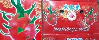 Dragon Fruit - 10Kg