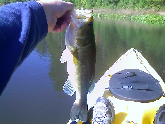 [first+bass+caught+in+the+yak.jpg]