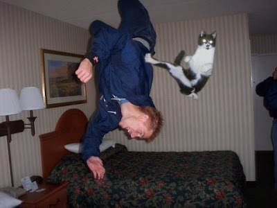 Karate+Cat.jpeg