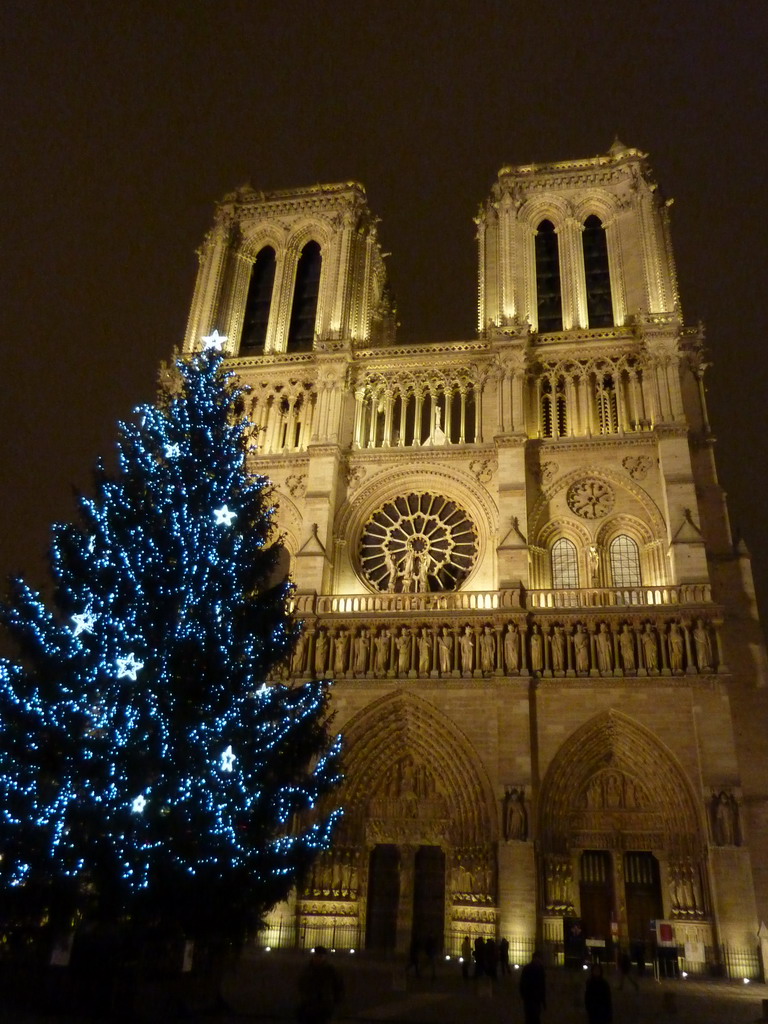 daily photo in paris notre dame 2010 christmas tree notre dame christmas