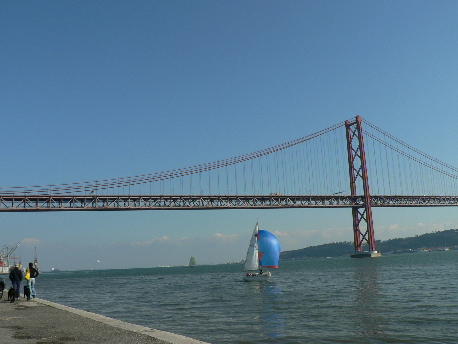 [P1130454.JPG]